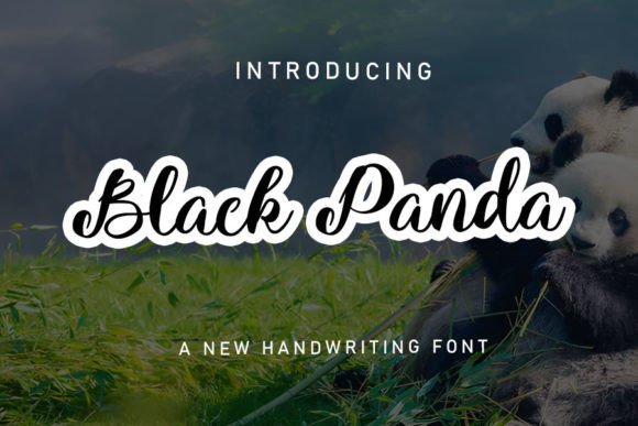 Black Panda: A Handwritten Typeface for Modern Web Design