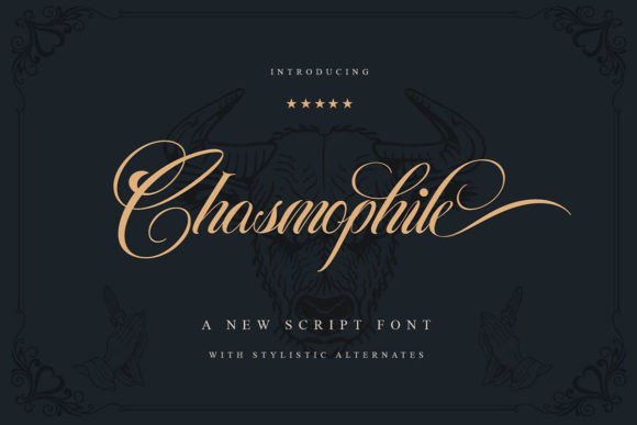 Chasmophile: The Script Font That Elevates Campaign Visuals