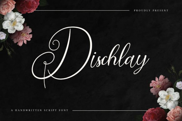 Dischlay Font: A Designer's Take on Stylish Script Branding