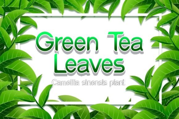 Green Tea Leaves: A Script Font for Editorial Design