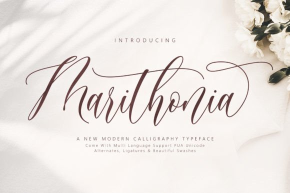 Marithonia: The Script Font That Elevates Your Brand